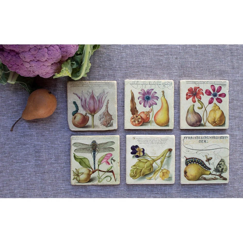 Joris Hoefnagel Floral Coasters, Set of 2, NWT